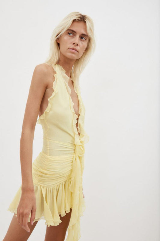 Rose Detailed Halterneck Mini Dress