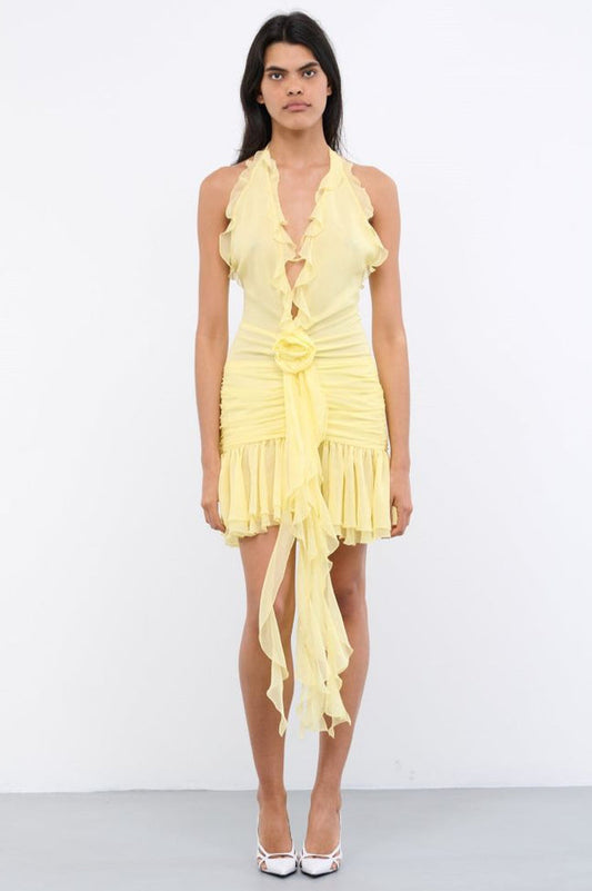 Rose Detailed Halterneck Mini Dress