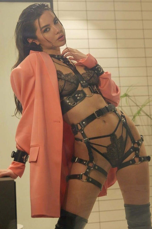 Large Ringed Wide Striped Fancy Leather Harness Set